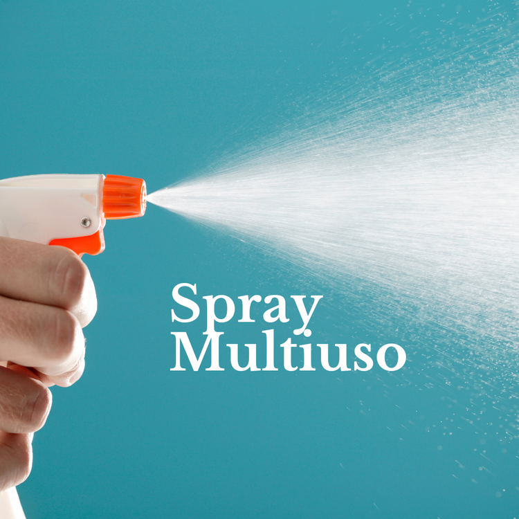 Detersivi Spray Multiuso