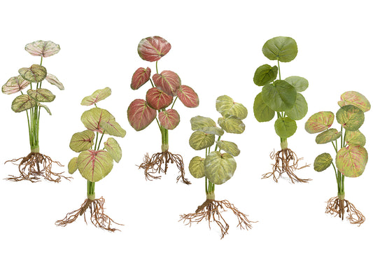 Pianta Artificiale - Caladium
