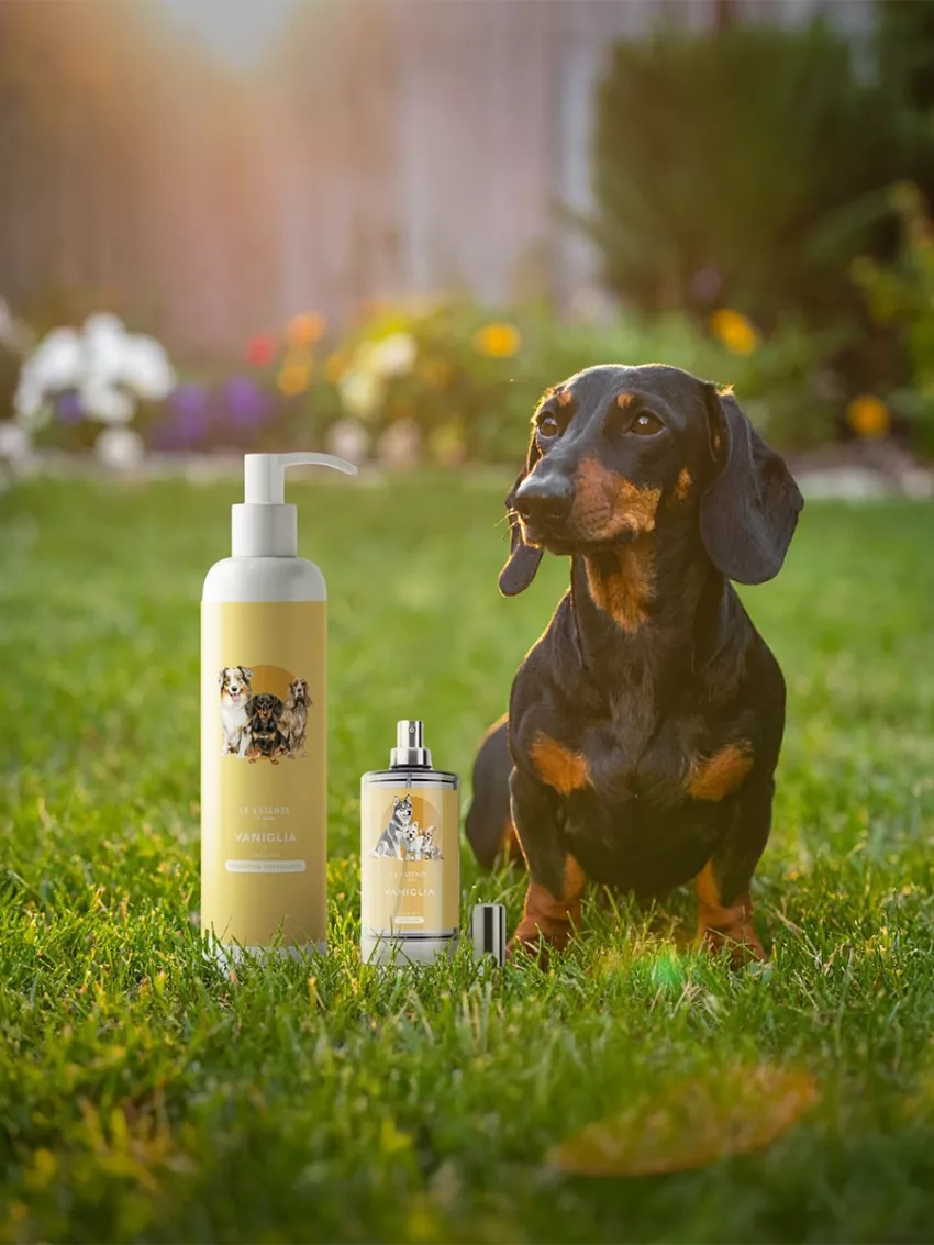 Profumo Vaniglia 50ml - Linea Pet